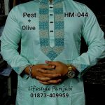 এমব্রয়ডারি পাঞ্জাবি HM-044 (পেষ্ট কালার/